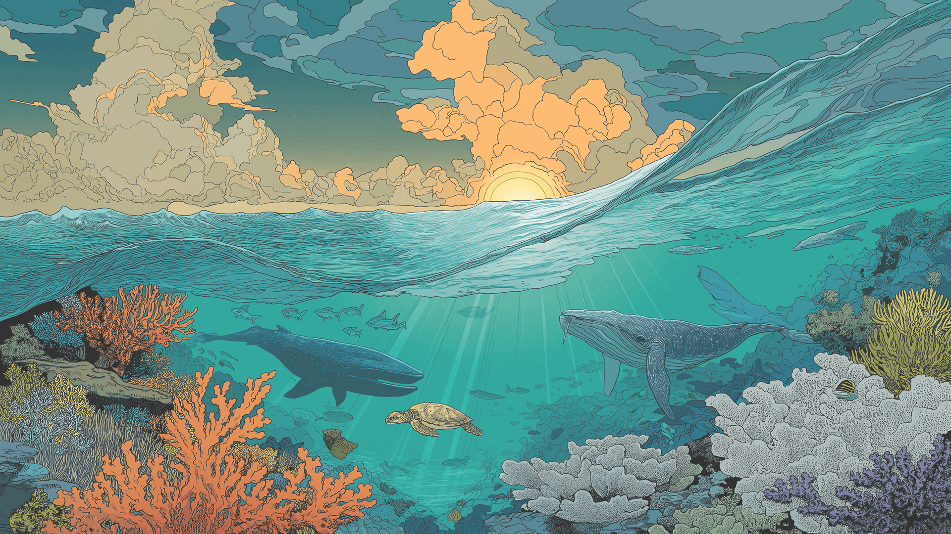 Ocean horizon scene: clouds and sun above the water; coral reefs, whales, a sea turtle, and fish below.